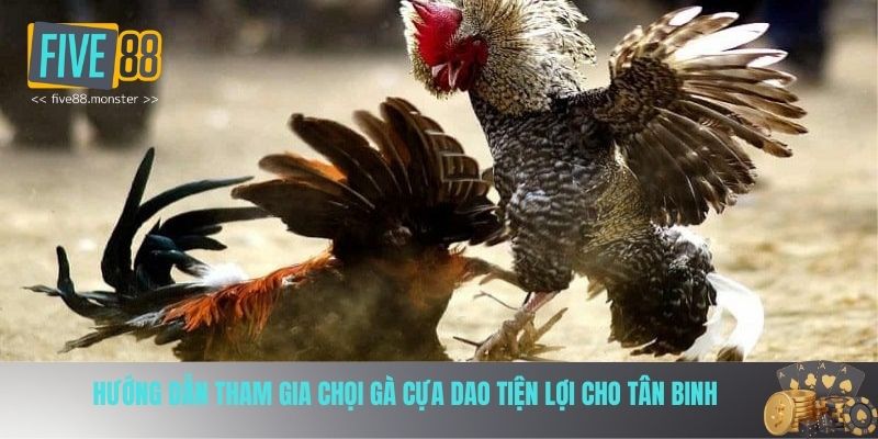 Hướng dẫn tham gia nhanh